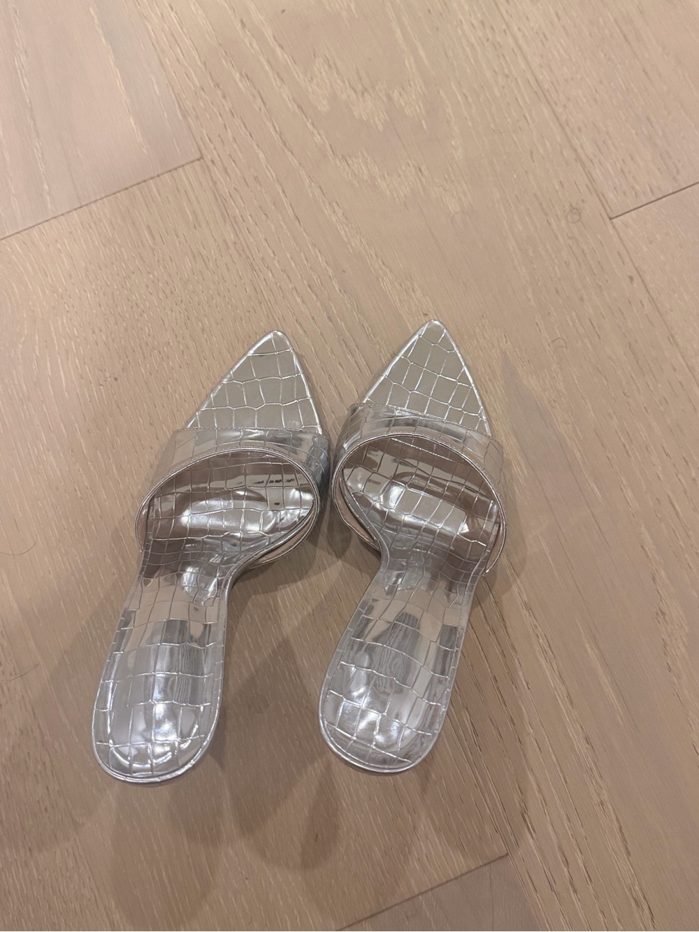 Clear Croc-Embossed Pointed Toe Women’s Slide - Silver